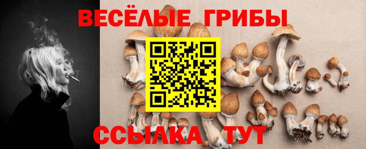Псилоцибиновые грибы Psilocybine cubensis  Вход с VPN  Прохладный 