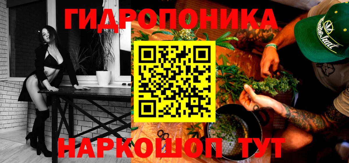 Канабис SATIVA & INDICA  Вход с VPN  Каннабис Ganja  Канабис сатива  Прохладный 